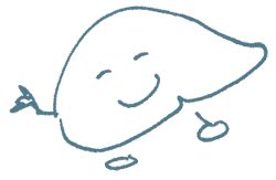A happy liver.